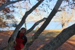resIMG_20181123_143630_0469.JPG